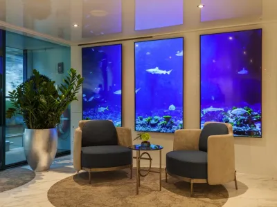 MS Amadeus Imperial - Entertainment