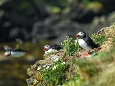 World Voyager - Enrichment