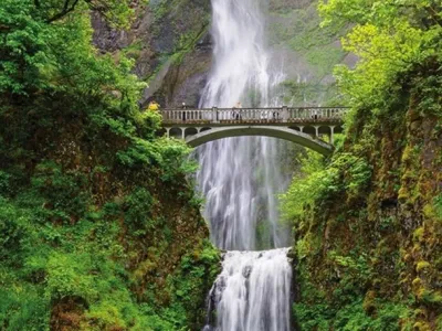 American Spirit - Enrichment