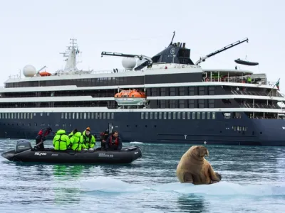 World Navigator - Enrichment