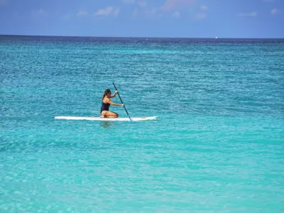 Carnival Panorama - Enrichment