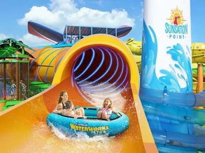 Carnival Festivale - Entertainment