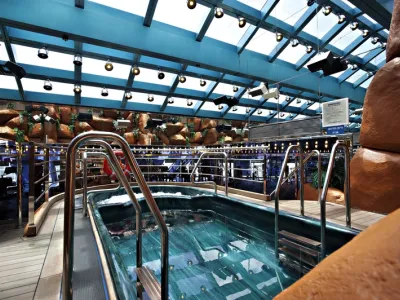 Carnival Glory - Health & Fitness