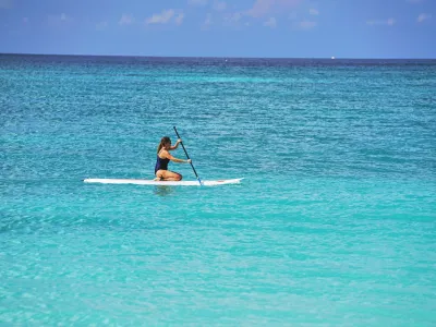 Carnival_-_Caribbean_1__Credit._Pip_Cowley___Anomaly