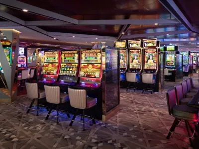 Celebrity Xcel - Entertainment