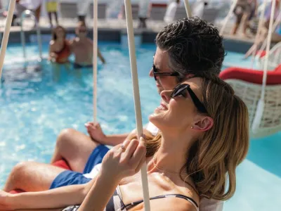 Celebrity Xcel - Entertainment