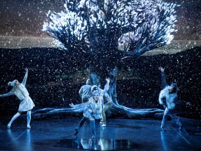 Celebrity Xcel - Entertainment