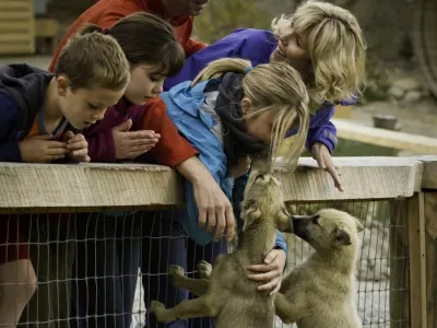 Celebrity Eclipse - Enrichment