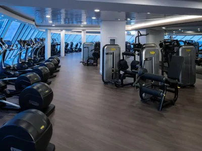 Celebrity Silhouette - Health & Fitness