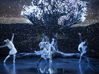 Celebrity Apex - Entertainment