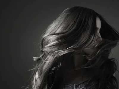 Celebrity Reflection - Health & Fitness