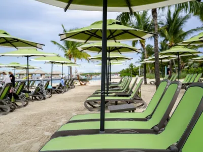 Celebrity Apex - Enrichment