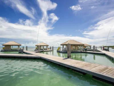 Celebrity Apex - Enrichment