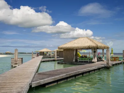 Celebrity Apex - Enrichment