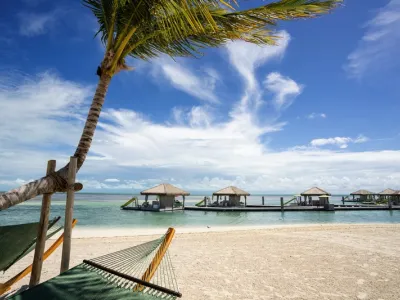 Celebrity Apex - Enrichment