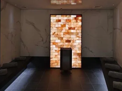 Celebrity Apex - Health & Fitness