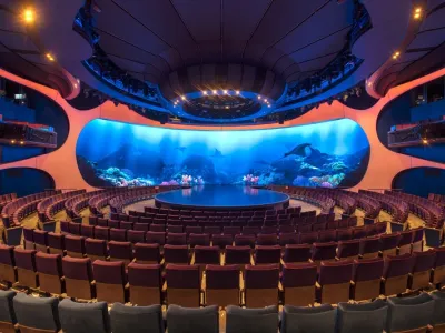 Celebrity Apex - Entertainment