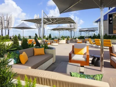 Celebrity Ascent - Entertainment