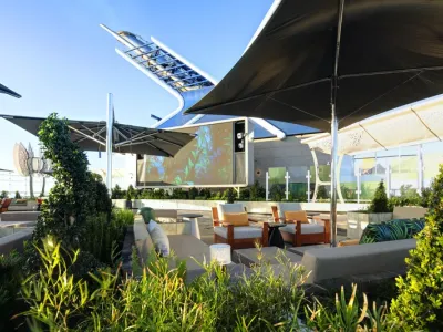 Celebrity Ascent - Entertainment