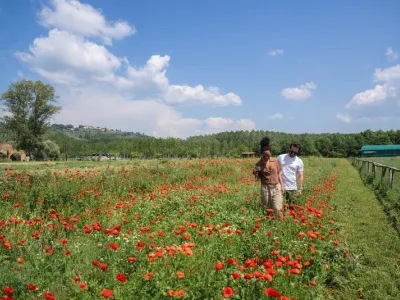 Celebrity Constellation - Enrichment