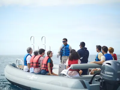 Celebrity Flora - Enrichment