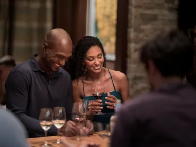 Celebrity Reflection - Entertainment