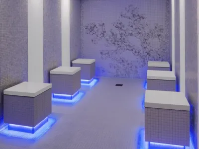 Celebrity Reflection - Health & Fitness