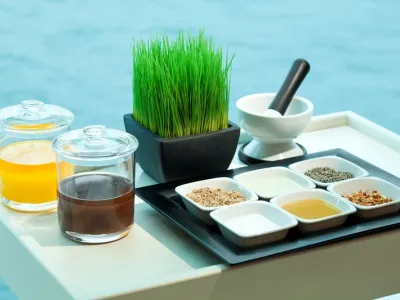 Celebrity Reflection - Health & Fitness