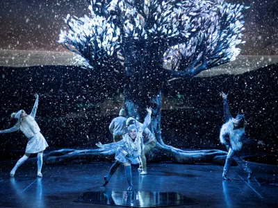 Celebrity_-_Theatre_1____CEL