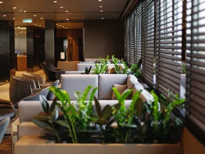 Emerald Azzurra - Entertainment