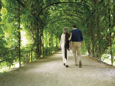 Emerald Star - Enrichment