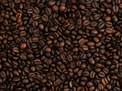 EXPLORA III - Enrichment