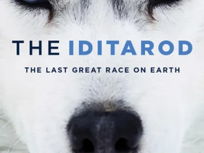 Nieuw Statendam - Enrichment