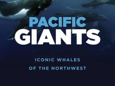 Nieuw Statendam - Enrichment