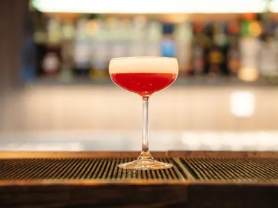 MS Roald Amundsen - Entertainment