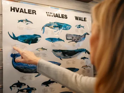 MS Roald Amundsen - Enrichment