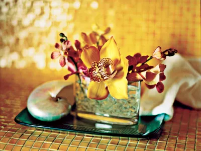 Rotterdam - Health & Fitness