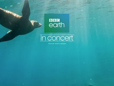 Eurodam - Entertainment