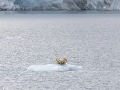 MS Spitsbergen - Entertainment