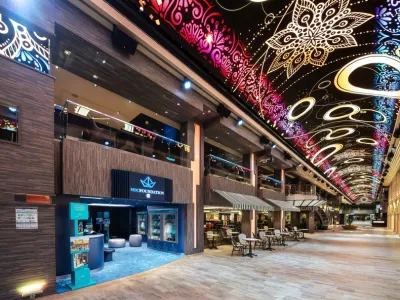 MSC Virtuosa - Enrichment