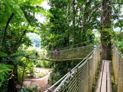 MSC Divina - Enrichment