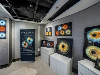 MSC Grandiosa - Entertainment