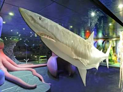 MSC Magnifica - Kids & Teens