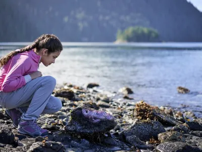 Norwegian Joy - Enrichment