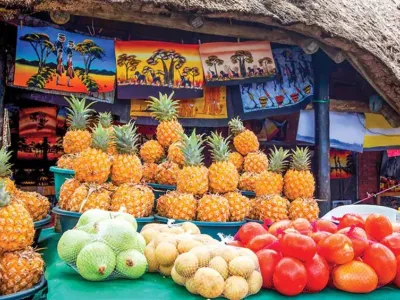 Oceania Insignia - Enrichment