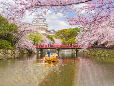 Oceania Insignia - Enrichment