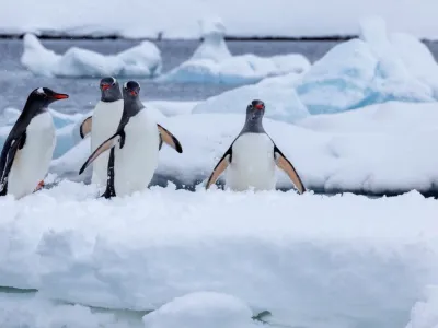m/v Sea Spirit - Enrichment