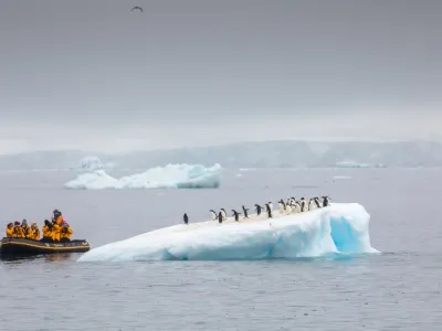 Ultramarine - Enrichment