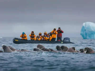 World Explorer - Enrichment