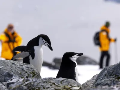 World Explorer - Enrichment